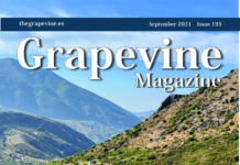 Competa Grapevine