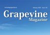 February Competa Grapevine